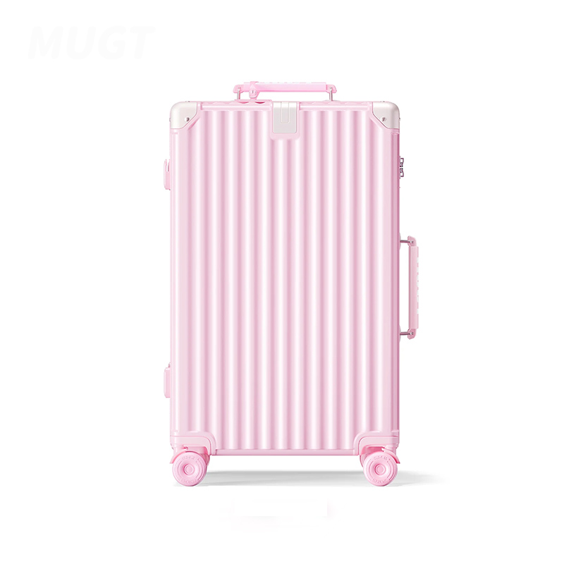 Valises à roulettes pour les v - Spinner Wheel Rolling Suitcase 20 Inch avis et prix