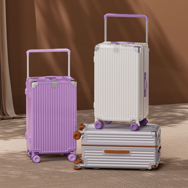 Valise de voyage à roulettes m - Spinner Wheel Rolling Suitcase 20 Inch avis et prix